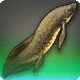 Hopping Lungfish