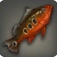 Hunu Peacock Bass