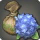 Hydrangea Seeds