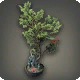 Il Mheg Planter