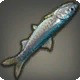 Inverted Anchovy