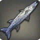 Inverted Barracuda