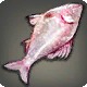 Inverted Carp