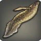 Inverted Lungfish