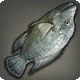 Inverted Tilapia