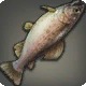 Inverted Trout