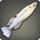 Inverted Whitefish