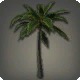 Island Palm