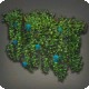 Ivy Curtain