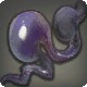 Jellyfish Cnida