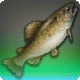 Joan of Trout