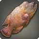 Kholusian Wrasse