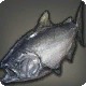 King Salmon