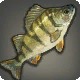 La Noscean Perch