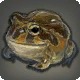 Lava Toad