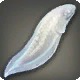 Lehr Brotula