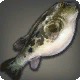 Letter Puffer