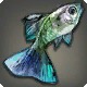 Ligaka Guppy