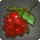 Lingonberry