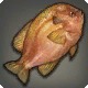 Longear Sunfish
