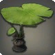 Lotus Parasol