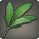 Lover's Laurel