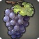 Lowland Grapes