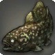 Lunar Coelacanth