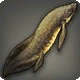 Lunar Lungfish