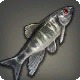 Lunar Minnow