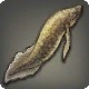 Lungfish