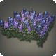 Lupin Plot