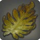 Malm Kelp