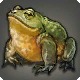 Marid Frog