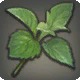 Mazlaya Greens