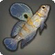 Merlthor Goby
