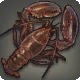 Merlthor Lobster