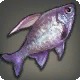 Milky Irisfish