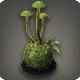 Minishroom Lamp