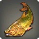 Mirage Mahi