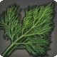 Mist Dill