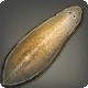 Mitre Slug