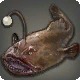 Monkfish