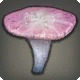 Moonglory Sporocarp