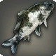 Moonlit Carp