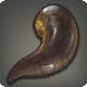 Moor Leech
