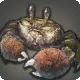 Moros Crab