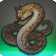 Moros Horned Viper
