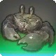 Mud Golem