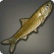 Mudfish